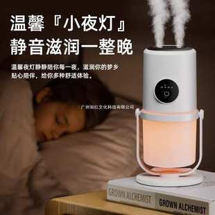 补水静音 便携办公室学生空气加湿器宿舍迷你桌面卧室家用小型新款