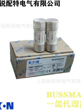FWP-100A2FI陶瓷管保险丝600VFWP-100A10A22x58巴斯曼0BUSS2MANN