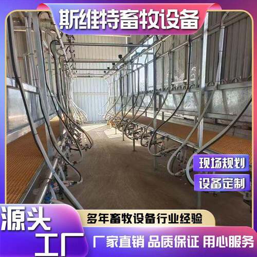 框架式挤奶厅智能化牧场大型挤奶机水牛奶山羊挤奶设备