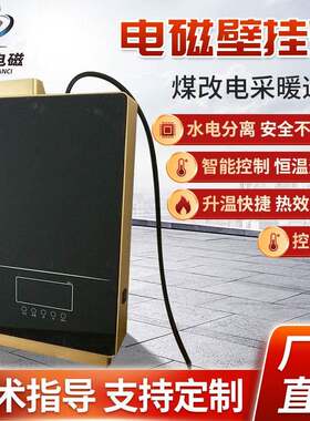 变频民用10KW电磁壁挂炉天然气壁挂炉取暖电磁采暖