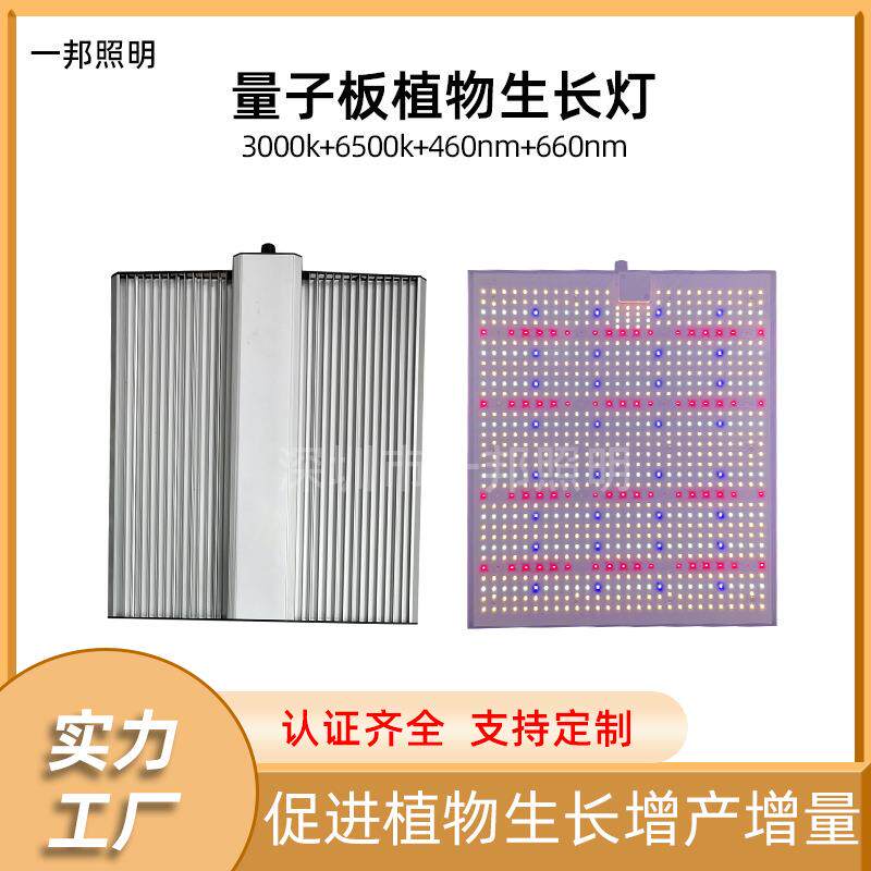 量子板植物灯301HEVO100W200W300W全光谱led可调光补光植物生长灯图片