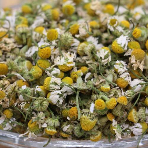 洋甘菊 新货 洋甘菊 各种花茶 零售 供应