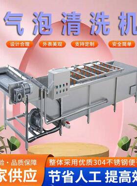 墨鱼气泡清洗机草莓树莓翻浪式设备浆果类洗菜机不伤果皮果蔬