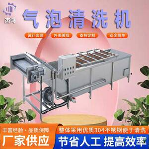 墨鱼气泡清洗机草莓树莓翻浪式设备浆果类洗菜机不伤果皮果蔬