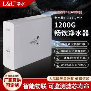 智能物联版 1200加仑大通量净水器母婴直饮家用零陈水 R800新款