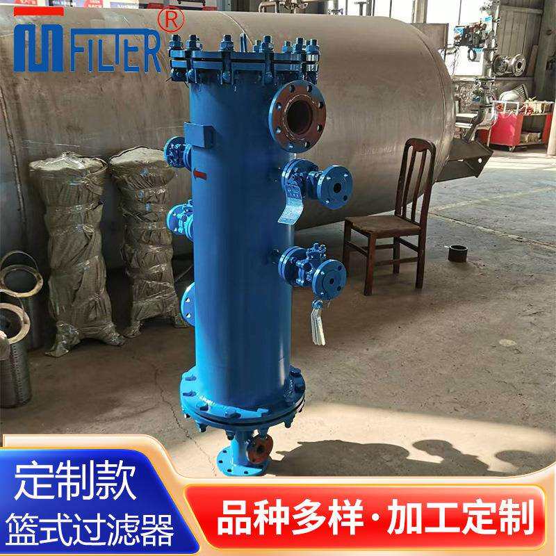 篮式毛发收集器生产厂家 楔形网滤芯 反冲洗易清洁