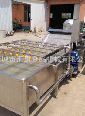 汇康牌气优泡洗菜机 翻浪西红清洗机OLG 柿水域式械自动洗姜机 惠