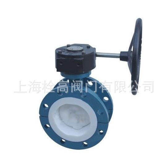 D371F46-16C涡轮对夹称四氟蝶阀 上海全村付法兰蝶阀DN40-DN300