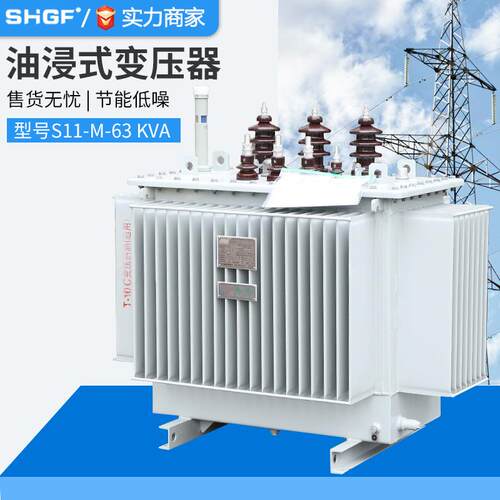 11油浸式变压器高压三相 13-200-250-315-630电力变压器10
