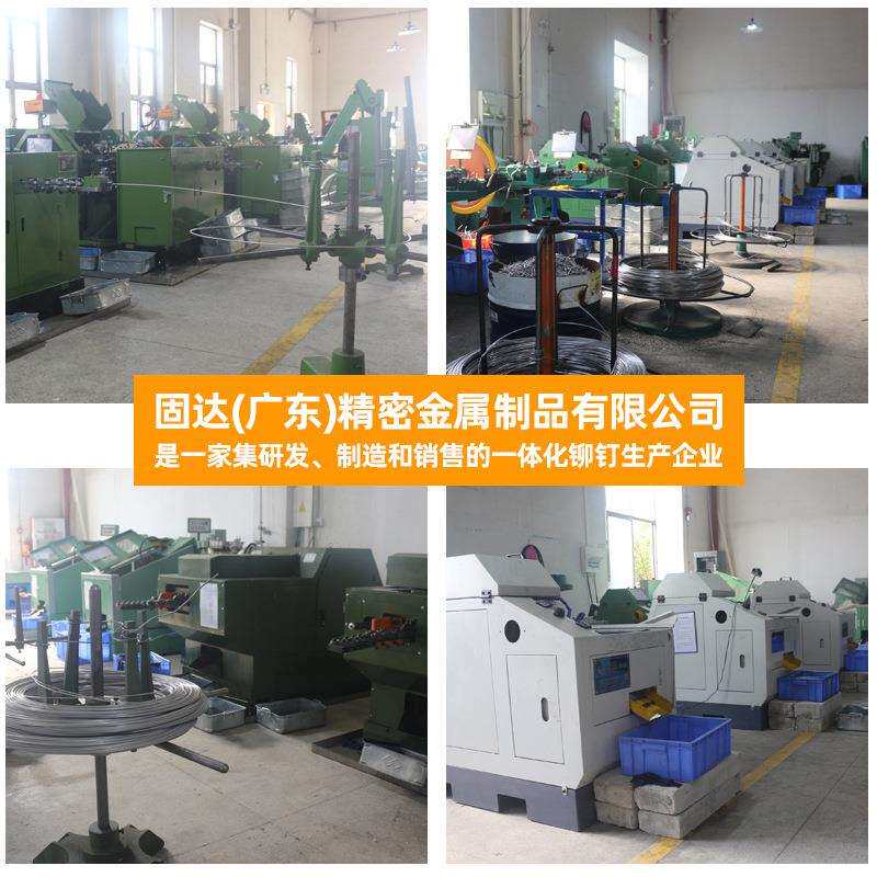 304全不锈钢双鼓铆钉 双股拉钉多鼓型结构 汽车紧固件Stavex BS11