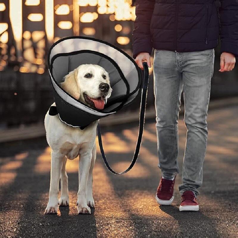 中大型犬耻辱圈宠物加深加大伊丽莎白圈狗防咬防舔防抓头套可调节
