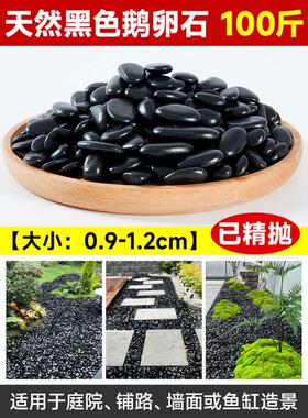 铺地黑色大小黑鱼缸鹅卵石斤100造景花园铺路天然雨花石庭院石头
