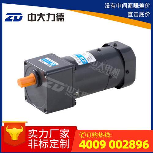 微型交流可抱闸马达 单相220V10W齿轮减速刹车电机 中大力德电机