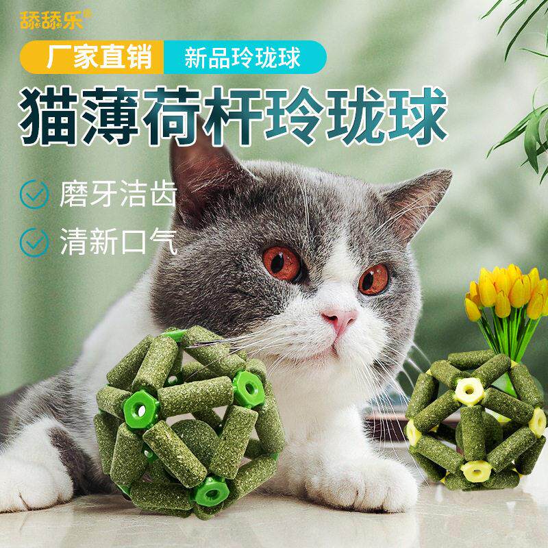 虫瘿果猫薄荷互动玲珑球玩具小猫咪磨牙洁齿自嗨解闷宠物用品