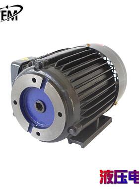 浙江葆特三相液压站油泵马达VP20叶片泵电机0.75KW1.5KW2.2KW