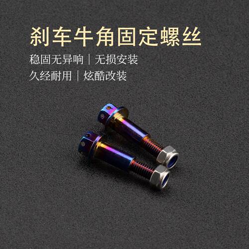 适用电摩极核AE8 S+ AE7 Pro AE5i AE4 SE+改装刹车牛角固定螺丝