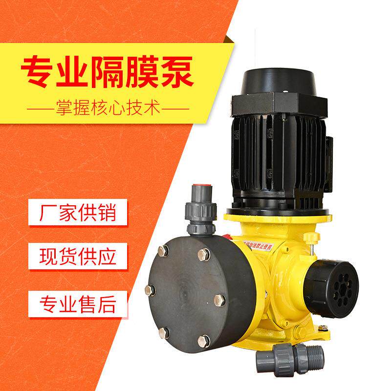 380V变频电机立式机械隔膜计量泵加药泵污水处理加药装置往复式