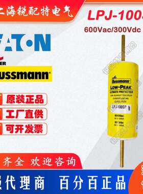 LPJ-100SP 延时保险丝 600V100A 巴斯曼BUSSMANN熔断器 LPJ-80SP