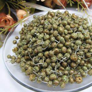 新疆包邮河南焦作温县 珍珠菊 胎菊 怀菊花茶 珍珠菊花茶 50克 二