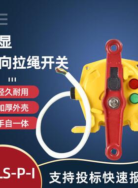 带指示灯双向拉绳开关XDT-A-3KG6HXDT-A-1GX5T带指示灯拉线开关