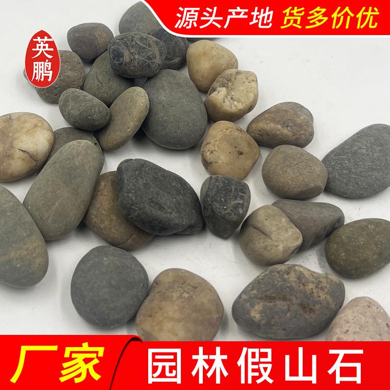 装笼用鹅卵石大块鹅暖石造景厂批汕尾别墅外墙装饰天然河卵石