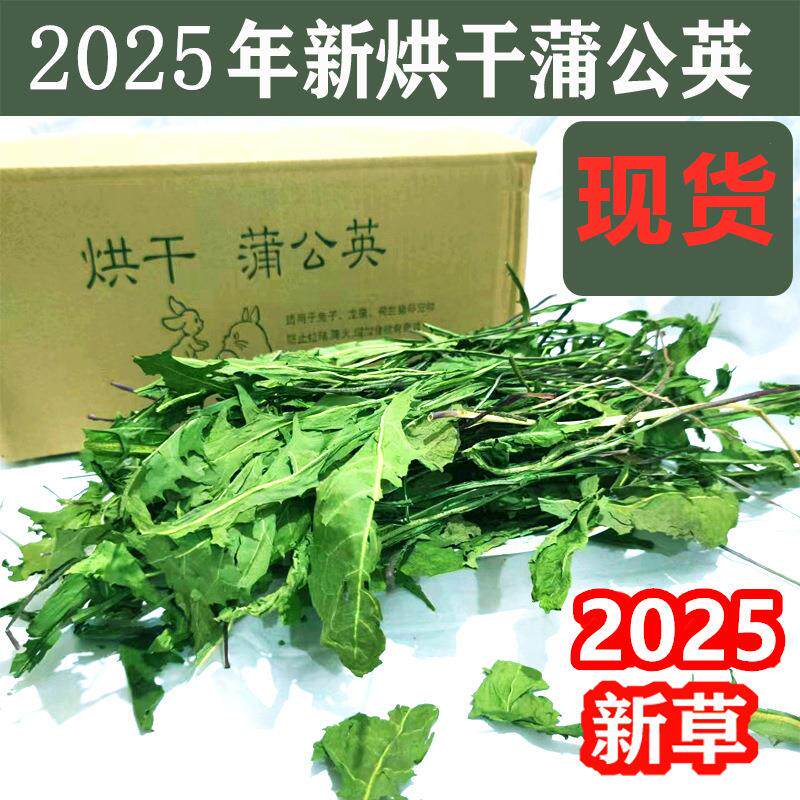 2025新烘干蒲公英干草提摩西胡萝卜缨菊苣草苜蓿草兔子草干草500g