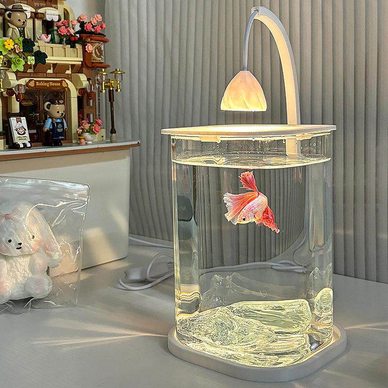 斗鱼鱼缸造景小型客厅桌面摆件2025新款观赏鱼迷你玻璃缸装饰家用