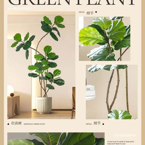 植物琴叶榕落地盆栽室内大型仿生绿植摆件客厅轻奢装饰花假树