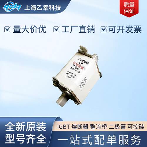 巴斯曼熔断器 170M2073 170M2074 170M2608 170M2609 170M2610