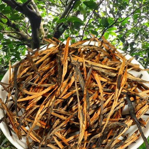 2025云南滇红松针红茶凤庆理直条经典58散装500g红针一级滇红