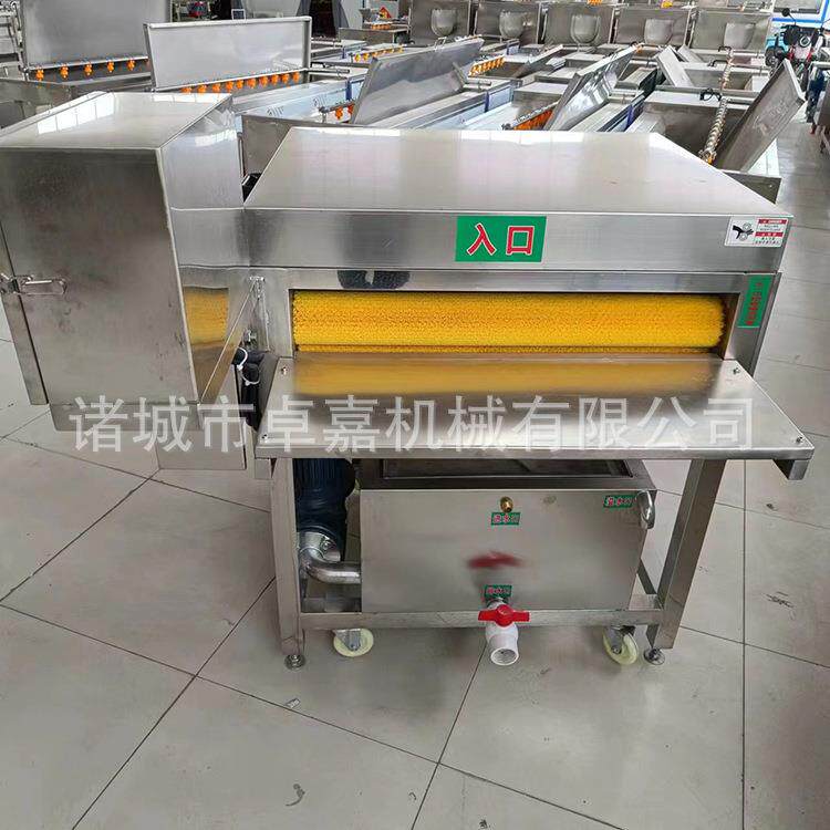 粽叶清洗机芦苇叶胡叶清洗机器黄粑叶清洗设备洗枇杷叶箬竹叶机