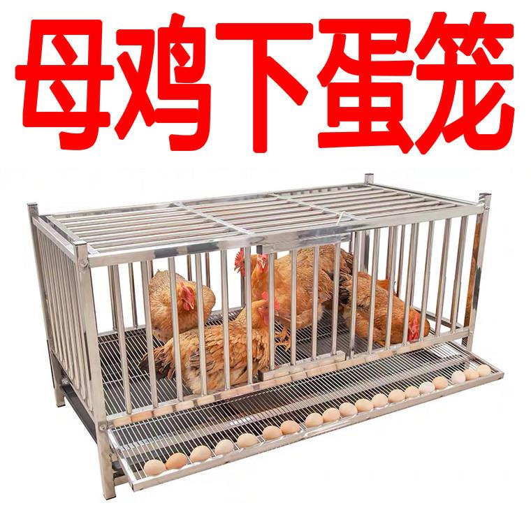 不锈钢母鸡下蛋笼家用养殖鸡窝鸡舍防啄蛋自动滚蛋大号加厚鸡笼子