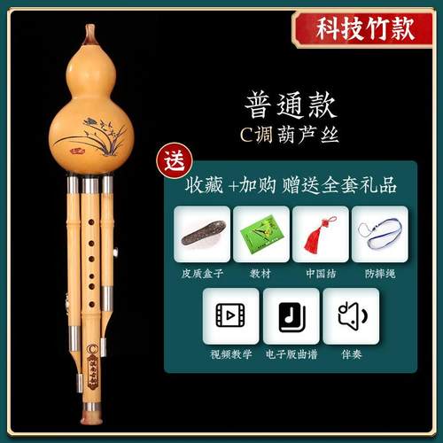 正品胡葫芦丝乐器小学南c生专用调降B调成人初学入门小DF调G7孔滇
