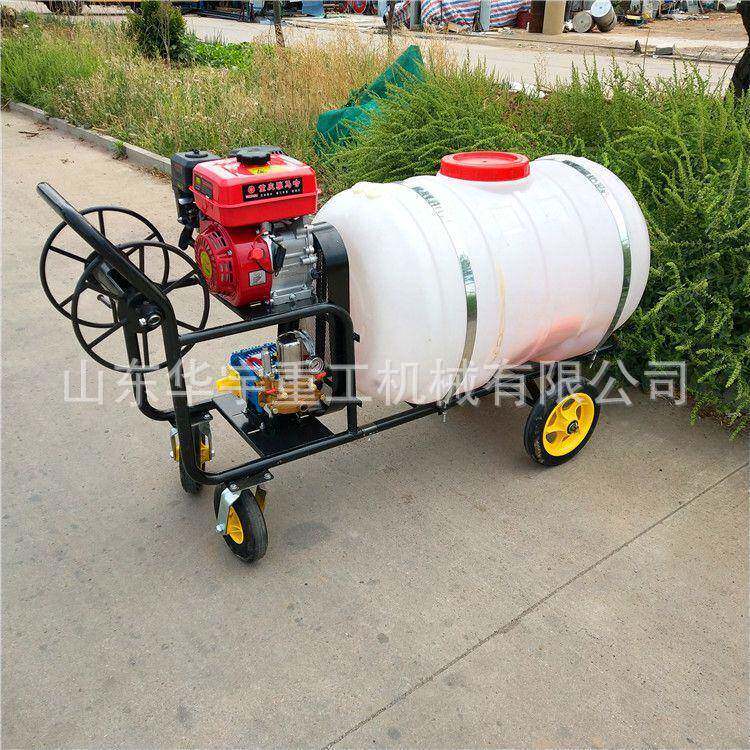 供应手推式汽油打药机 农用高压喷雾器 300L推车式打药机