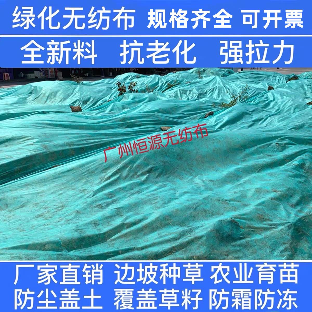 绿色不织布绿化透气膜园林工地防尘盖土布草坪护坡边坡植草不织布