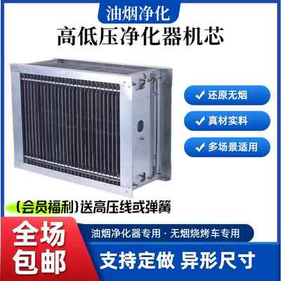 烧烤车净化器机芯内胆电场配件油烟净化器过滤芯电厂静电式电磁场