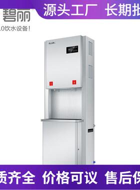 碧丽冷热立式商用电开水器微电脑烧水器净化一体步进式开水机大型