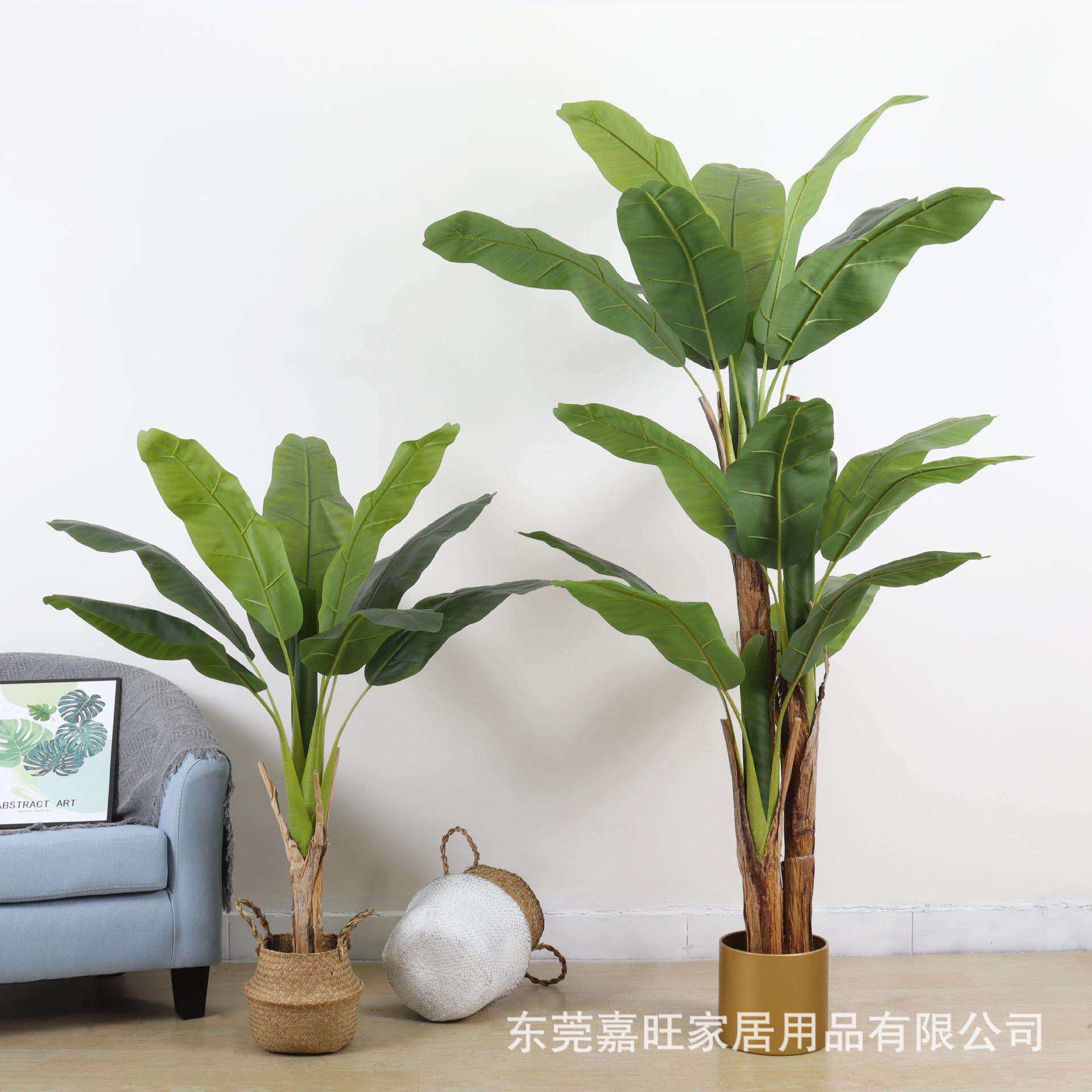 芭蕉树仿真植物大型绿植假盆栽室内装饰落地盆景客厅仿真 香蕉树