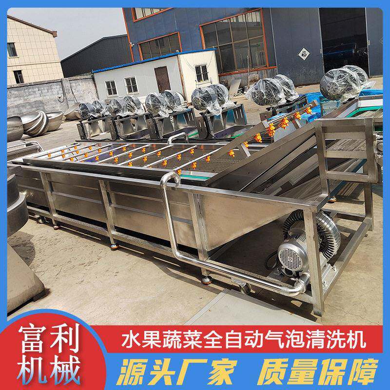 压气泡清洗机辣椒气泡喷淋机玉米大枣枸杞清洗机番茄酱流水线