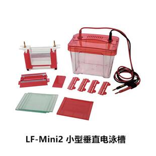 龙方星钰LF ZY03小型转印电泳槽 Mini2小型垂直电泳槽LF