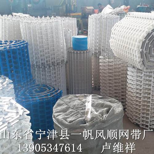 全自动洗碗机网带 网链式输送带 塑料链带 设计合理 清洗方便