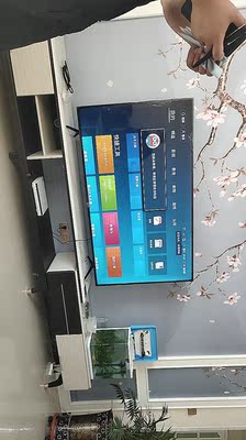 客观分析电视海信H65E3A和长虹43D5S哪个好，差别大不大？