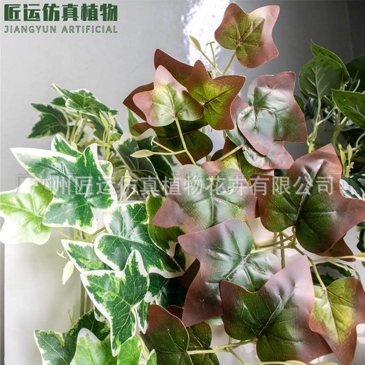 爬山虎缠绕绿萝叶装饰仿真藤蔓 葡萄叶常春藤枫叶爬藤类仿真藤条