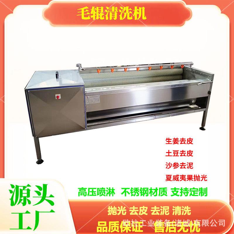 红薯去皮毛辊清洗机海产品扇贝牡蛎去泥机芋头花生洗泥去皮设备