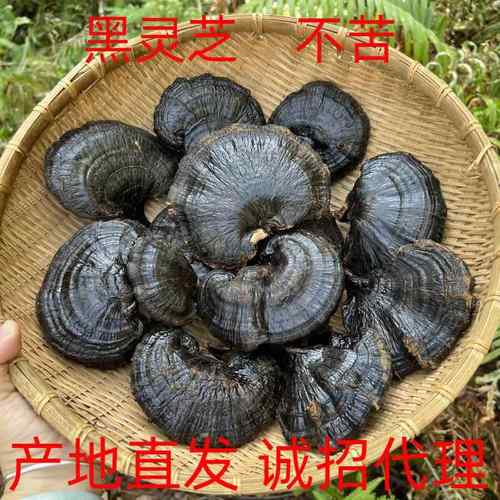 黑灵芝整支不苦礼盒量大基地直发无柄可切片诚招煲汤