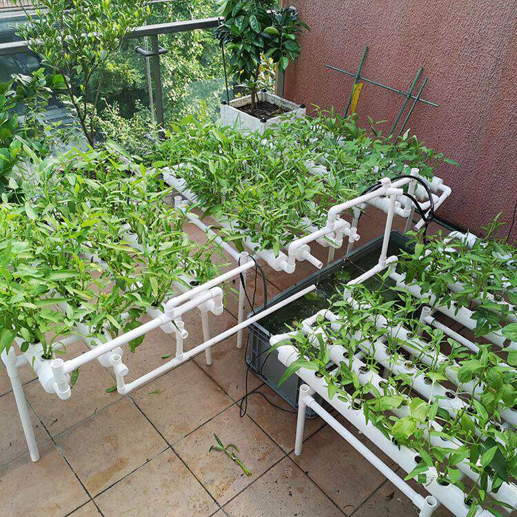 阳台家用无土栽培蔬菜设备智能水培管机室内多层水培种植架成套设