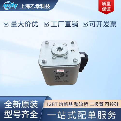 巴斯曼熔断器 170M6311 170M6312 170M6313 170M6314 170M6315