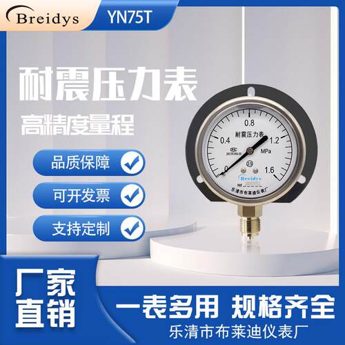 压力表YN75T耐震压力表带边船用压力表规格齐全气压水压0-1.6MPa