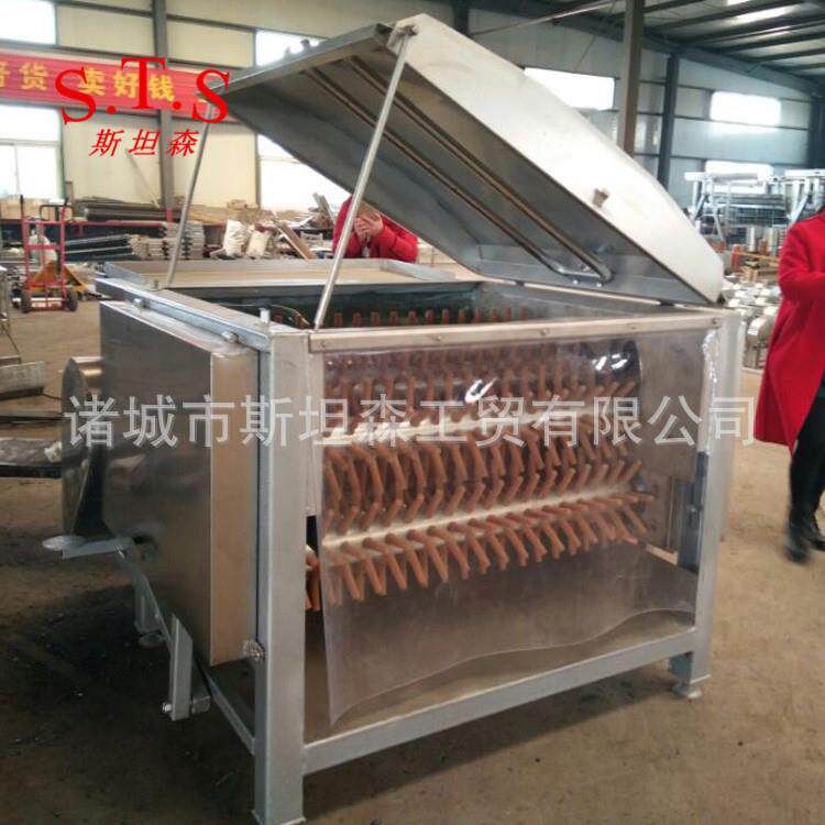 N全自动鸡鸭脱毛机鸡鸭小型七辊打毛机鸡鸭通用烫脱一体机