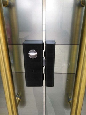 掌索玻璃门电子门锁双开木门指纹锁选购攻略需注意细节